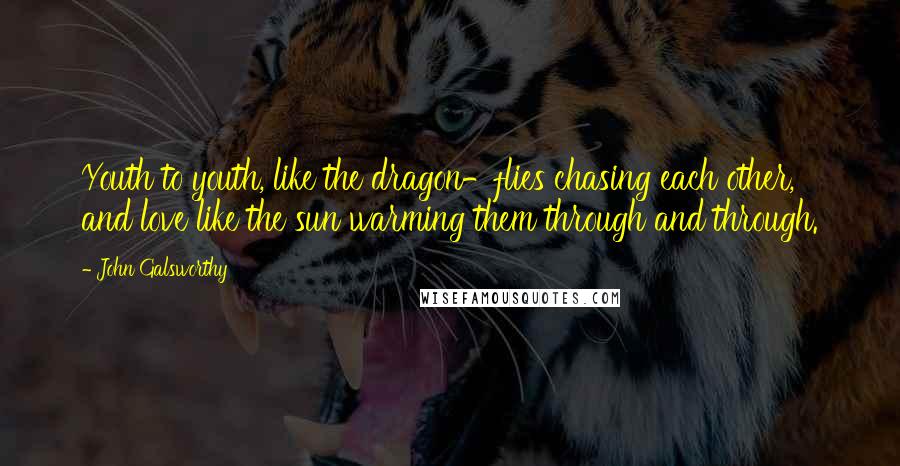 John Galsworthy quotes: Youth to youth, like the dragon-flies chasing each other, and love like the sun warming them through and through.