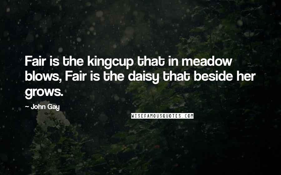 John Gay quotes: Fair is the kingcup that in meadow blows, Fair is the daisy that beside her grows.