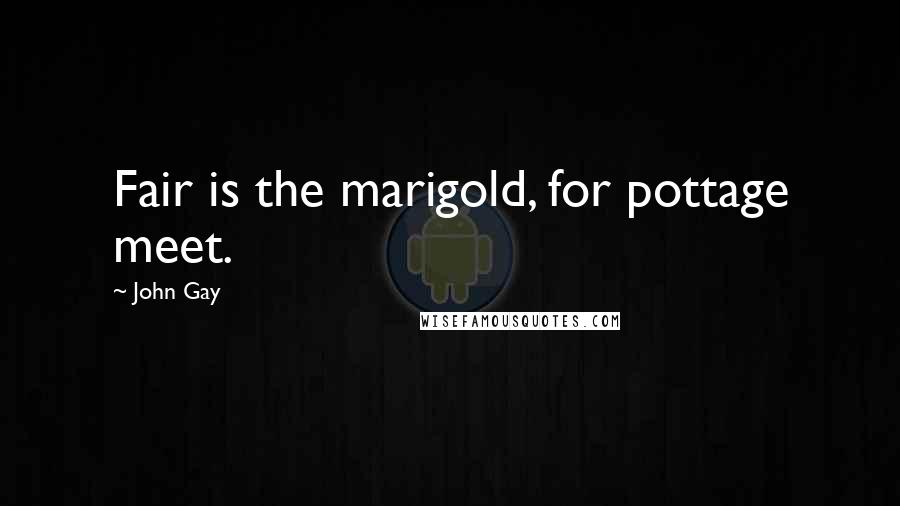 John Gay quotes: Fair is the marigold, for pottage meet.
