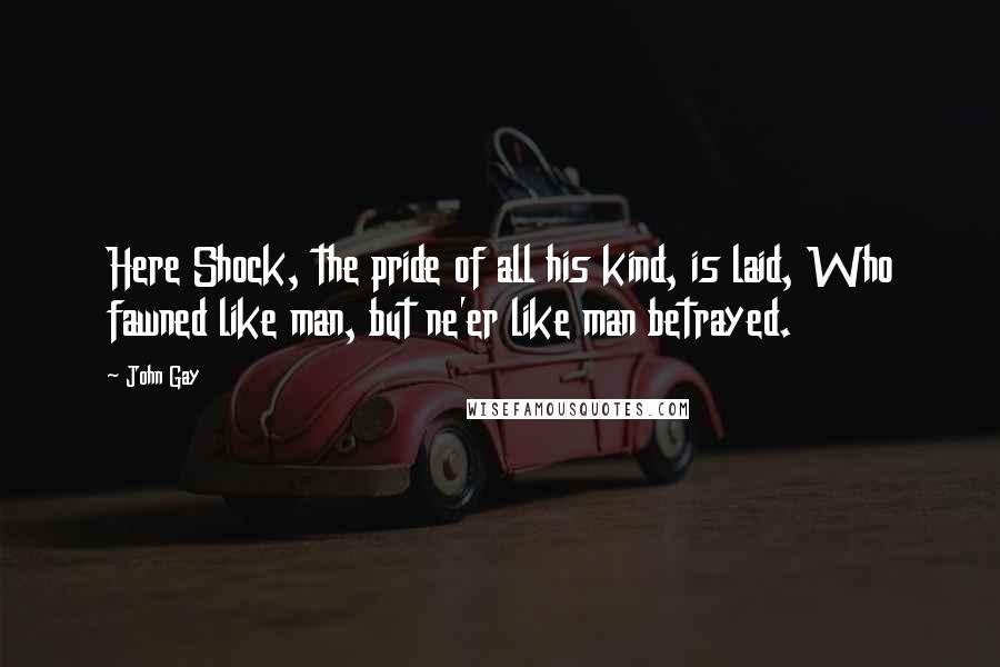 John Gay quotes: Here Shock, the pride of all his kind, is laid, Who fawned like man, but ne'er like man betrayed.