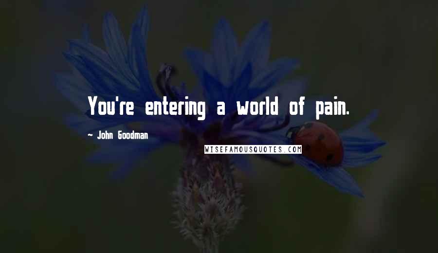 John Goodman quotes: You're entering a world of pain.