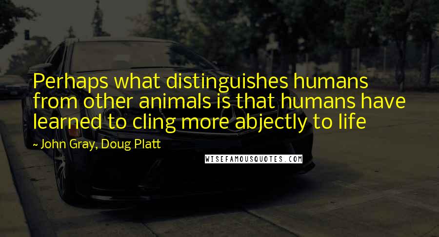John Gray, Doug Platt quotes: Perhaps what distinguishes humans from other animals is that humans have learned to cling more abjectly to life John Gray, Doug Platt quotes: Perhaps what distinguishes humans from other animals is that humans have learned to cling more abjectly to life