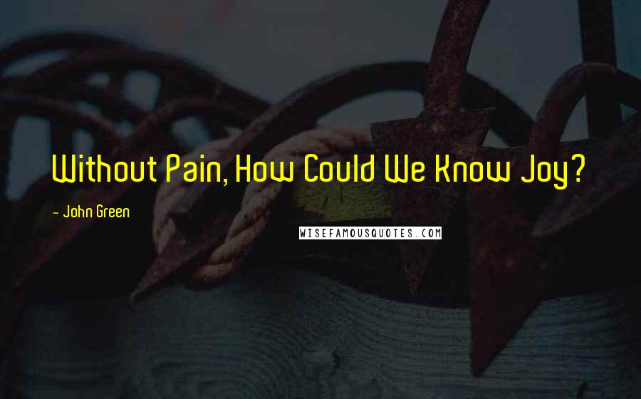 John Green quotes: Without Pain, How Could We Know Joy? John Green quotes: Without Pain, How Could We Know Joy?