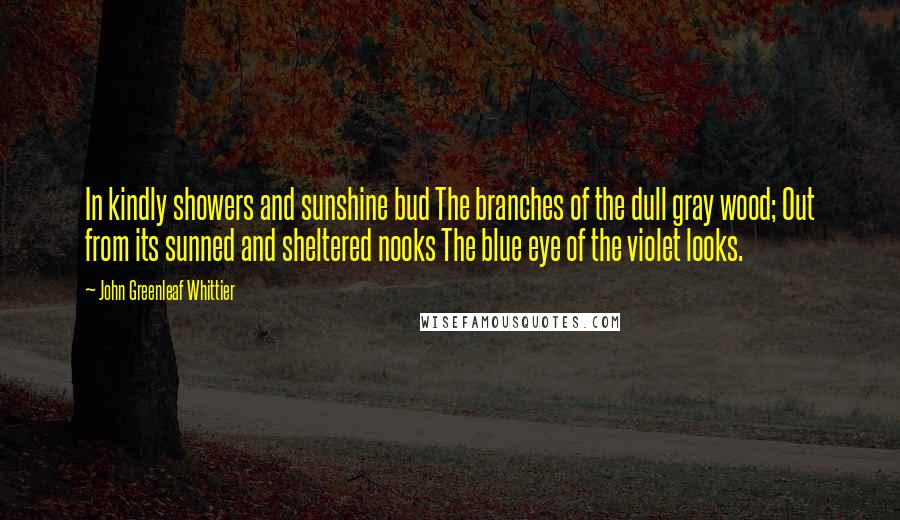 John Greenleaf Whittier quotes: In kindly showers and sunshine bud The branches of the dull gray wood; Out from its sunned and sheltered nooks The blue eye of the violet looks.