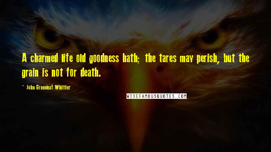 John Greenleaf Whittier quotes: A charmed life old goodness hath; the tares may perish, but the grain is not for death.