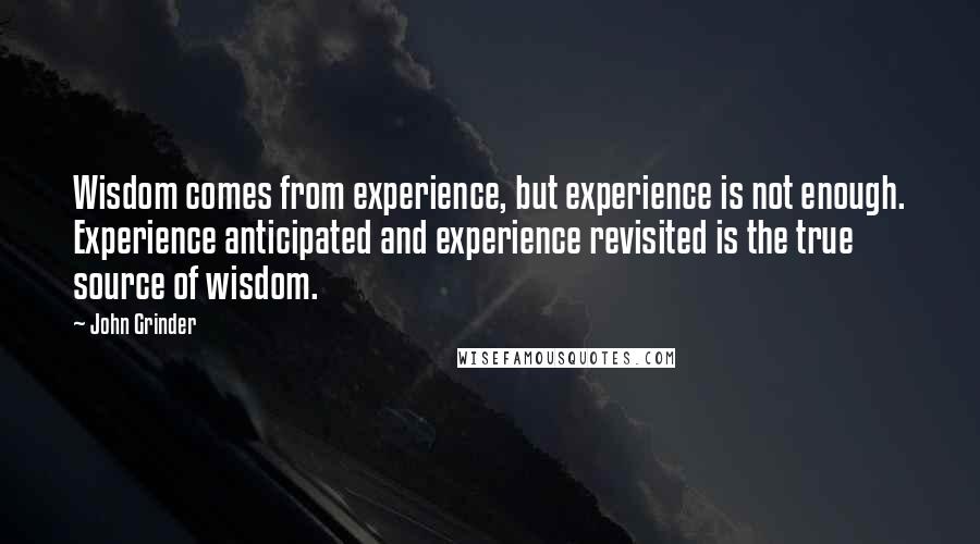 John Grinder quotes: Wisdom comes from experience, but experience is not enough. Experience anticipated and experience revisited is the true source of wisdom.