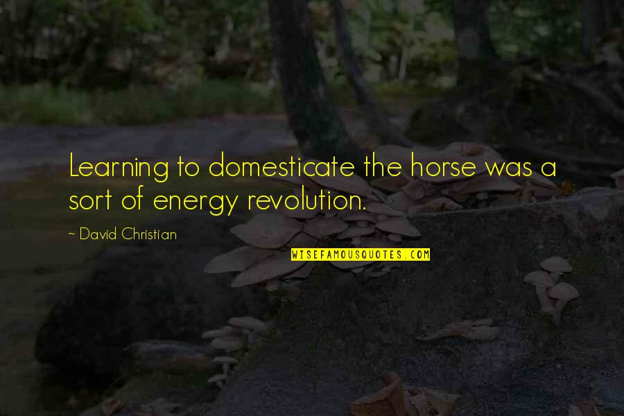 John Guthrie Quotes By David Christian: Learning to domesticate the horse was a sort John Guthrie Quotes By David Christian: Learning to domesticate the horse was a sort