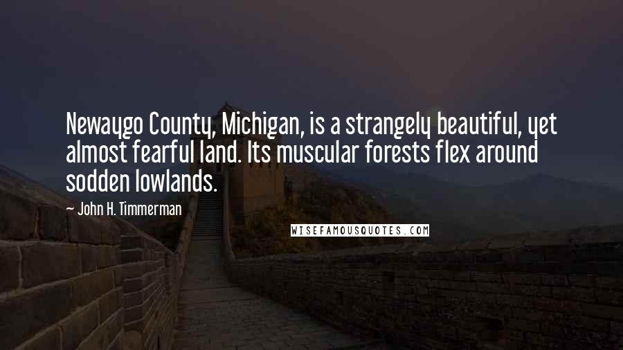 John H. Timmerman quotes: Newaygo County, Michigan, is a strangely beautiful, yet almost fearful land. Its muscular forests flex around sodden lowlands.