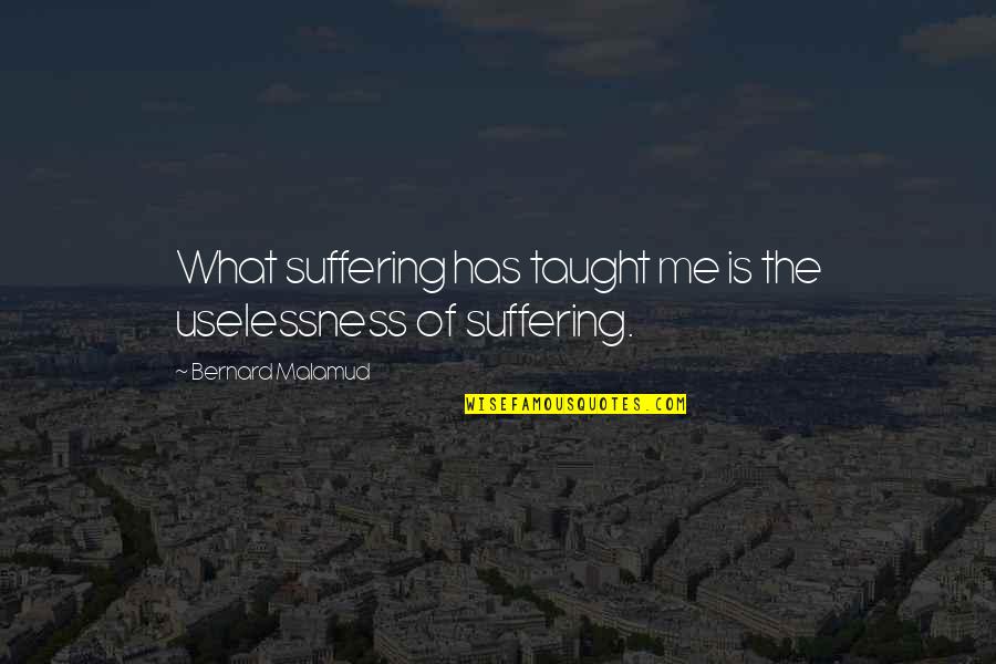 John Hanc Quotes By Bernard Malamud: What suffering has taught me is the uselessness