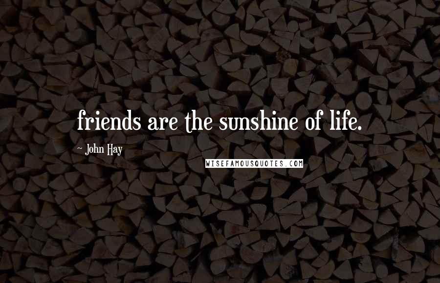 John Hay quotes: friends are the sunshine of life.