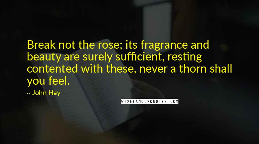 John Hay quotes: Break not the rose; its fragrance and beauty are surely sufficient, resting contented with these, never a thorn shall you feel.