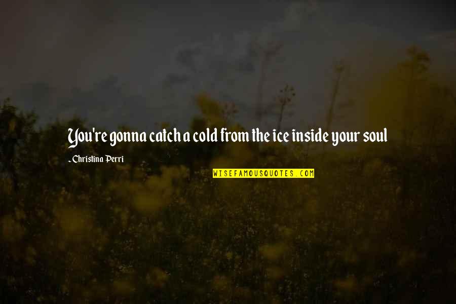 John Hennessy Quotes By Christina Perri: You're gonna catch a cold from the ice