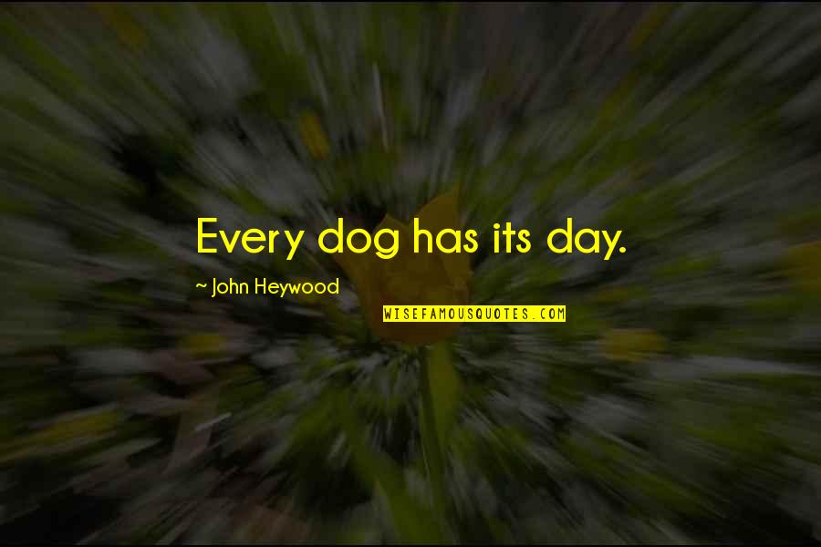 John Heywood Quotes By John Heywood: Every dog has its day.