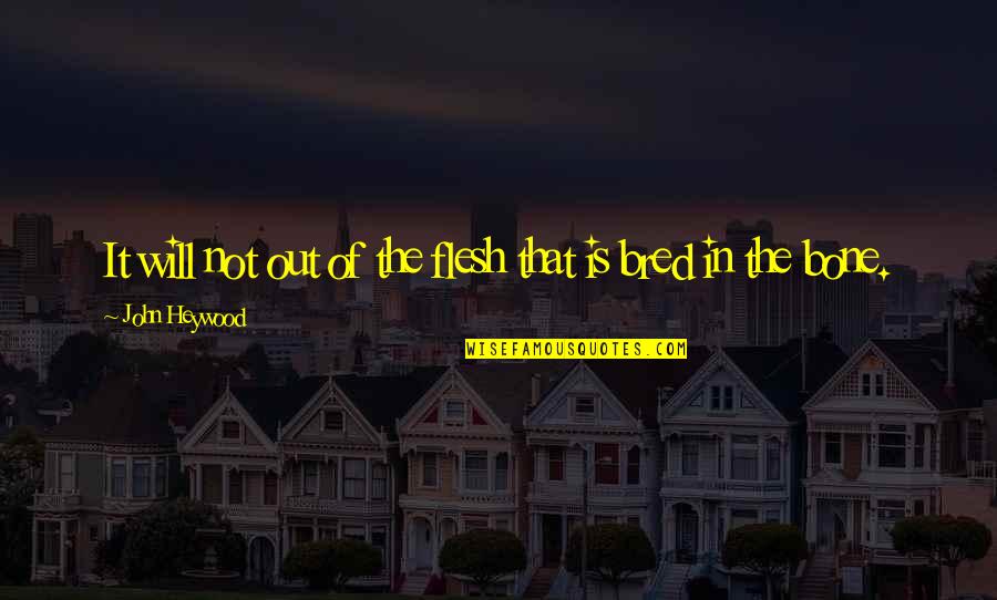 John Heywood Quotes By John Heywood: It will not out of the flesh that