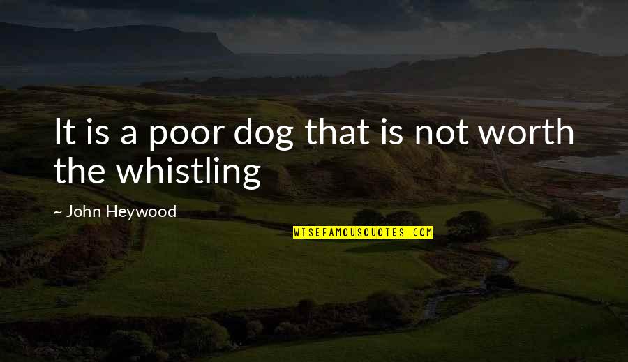 John Heywood Quotes By John Heywood: It is a poor dog that is not