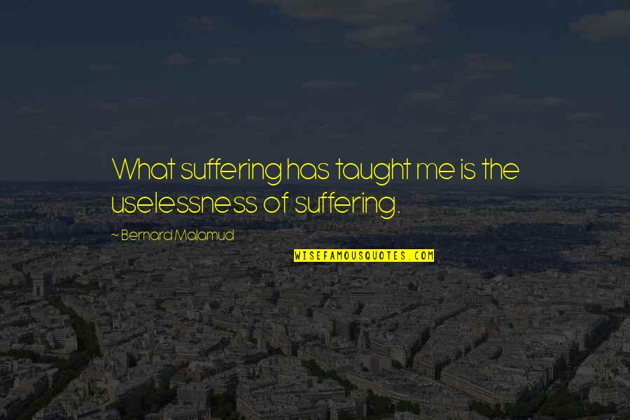 John Hickam Quotes By Bernard Malamud: What suffering has taught me is the uselessness
