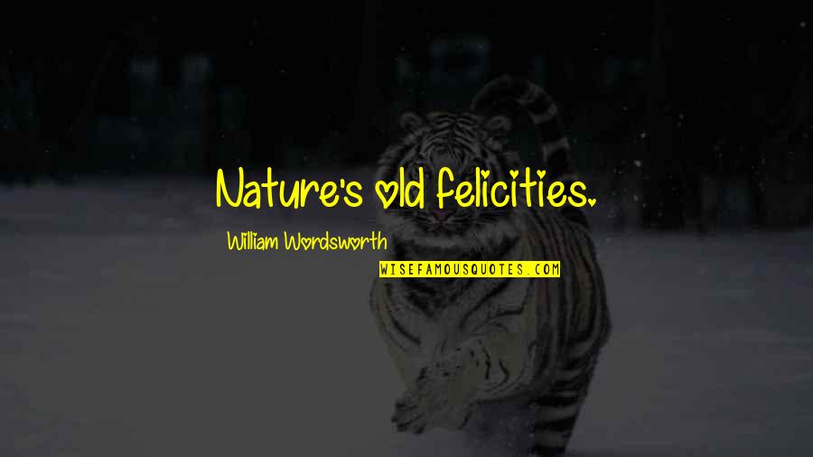 John Hobson Quotes By William Wordsworth: Nature's old felicities.