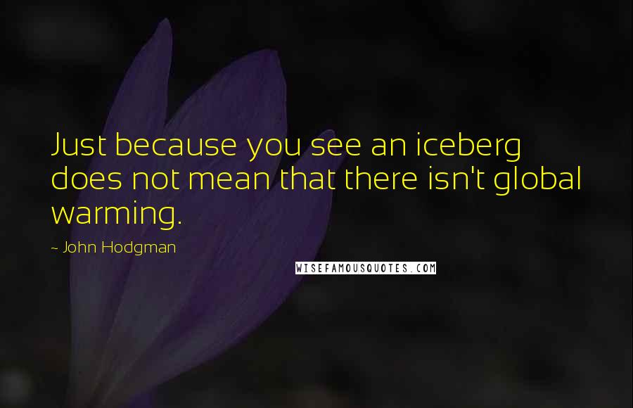 John Hodgman quotes: Just because you see an iceberg does not mean that there isn't global warming.