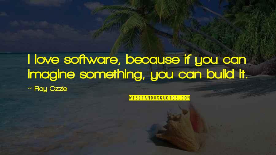 John Hoeven Quotes By Ray Ozzie: I love software, because if you can imagine