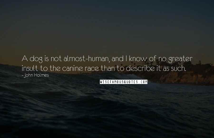 John Holmes quotes: A dog is not almost-human, and I know of no greater insult to the canine race than to describe it as such.