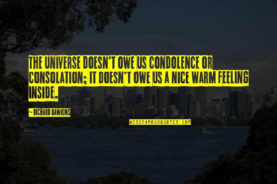 John Idzik Quotes By Richard Dawkins: The universe doesn't owe us condolence or consolation; John Idzik Quotes By Richard Dawkins: The universe doesn't owe us condolence or consolation;