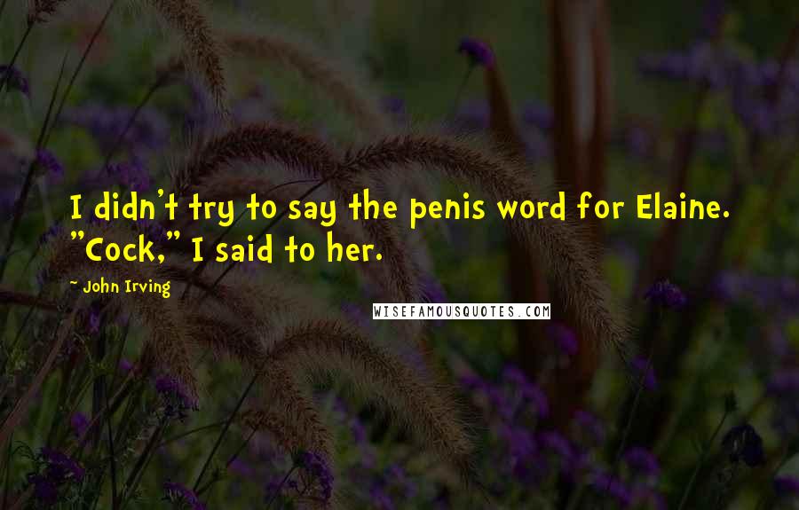 John Irving quotes: I didn't try to say the penis word for Elaine. "Cock," I said to her.
