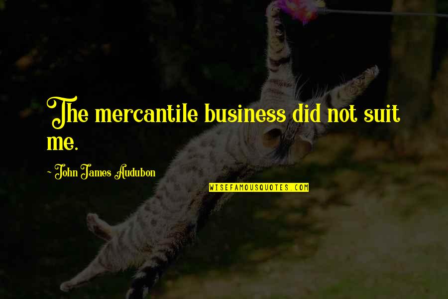 John J Audubon Quotes By John James Audubon: The mercantile business did not suit me.