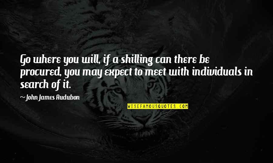 John J Audubon Quotes By John James Audubon: Go where you will, if a shilling can