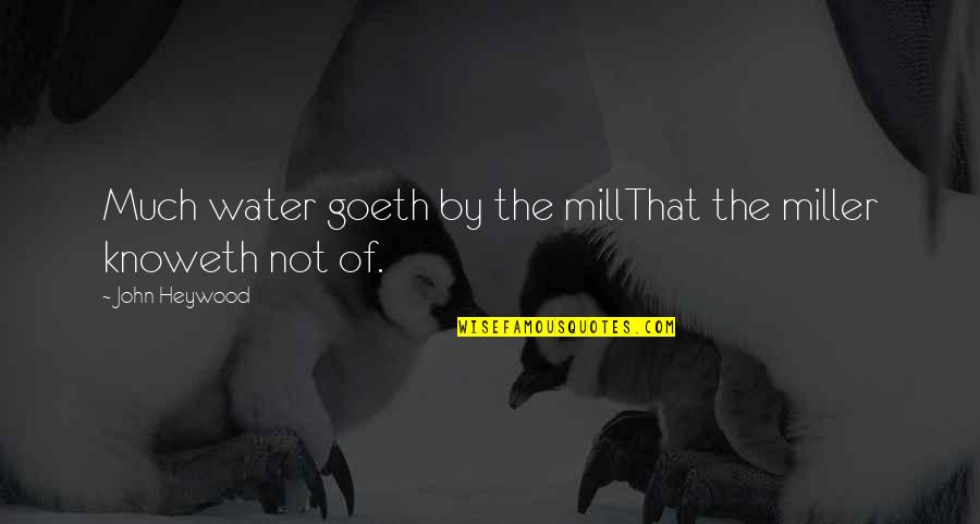 John J Miller Quotes By John Heywood: Much water goeth by the millThat the miller