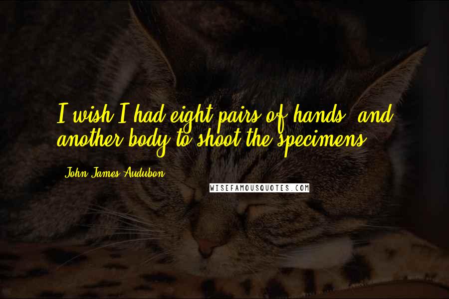 John James Audubon quotes: I wish I had eight pairs of hands, and another body to shoot the specimens.