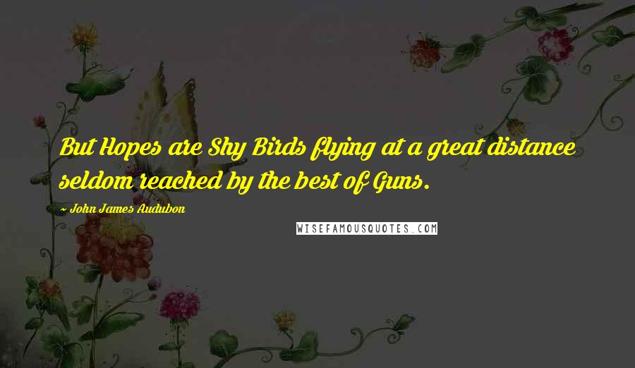 John James Audubon quotes: But Hopes are Shy Birds flying at a great distance seldom reached by the best of Guns.