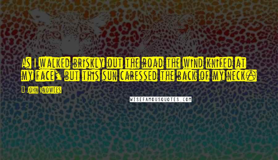 John Knowles quotes: As I walked briskly out the road the wind knifed at my face, but this sun caressed the back of my neck.