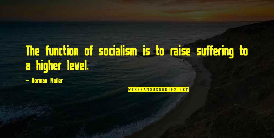 John Larkin Quotes By Norman Mailer: The function of socialism is to raise suffering