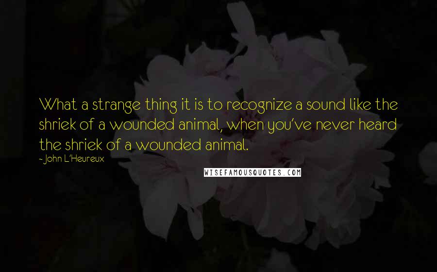 John L'Heureux quotes: What a strange thing it is to recognize a sound like the shriek of a wounded animal, when you've never heard the shriek of a wounded animal.