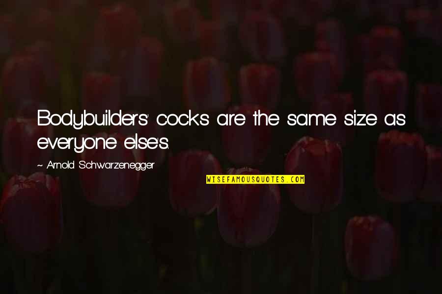John Lund Quotes By Arnold Schwarzenegger: Bodybuilders' cocks are the same size as everyone John Lund Quotes By Arnold Schwarzenegger: Bodybuilders' cocks are the same size as everyone