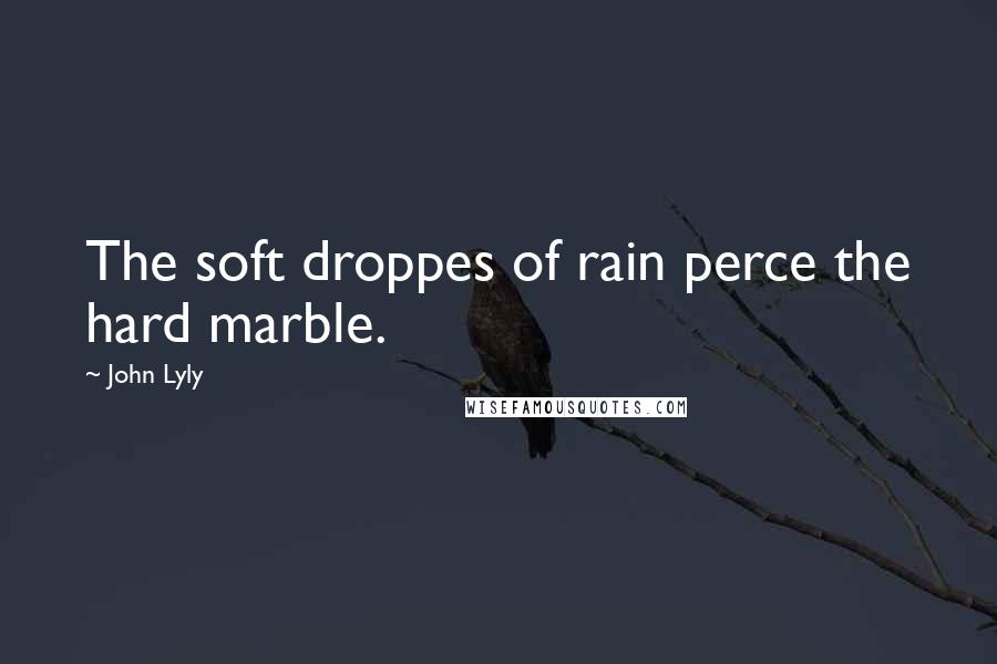 John Lyly quotes: The soft droppes of rain perce the hard marble.