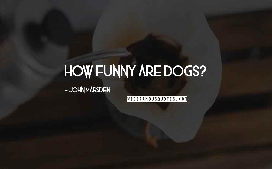 John Marsden quotes: How funny are dogs?