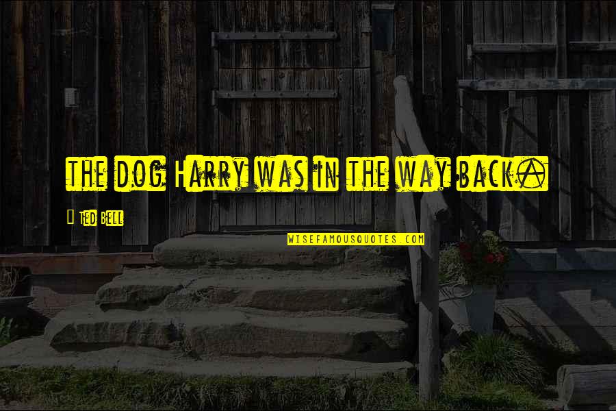 John Marshall Famous Quotes By Ted Bell: the dog Harry was in the way back. John Marshall Famous Quotes By Ted Bell: the dog Harry was in the way back.