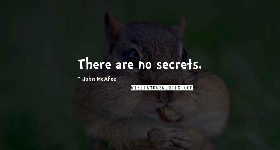 John McAfee quotes: There are no secrets.