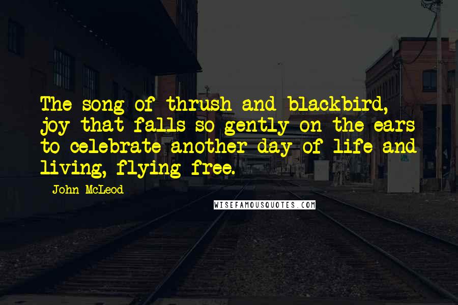 John McLeod quotes: The song of thrush and blackbird, joy that falls so gently on the ears to celebrate another day of life and living, flying free.