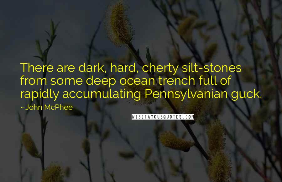 John McPhee quotes: There are dark, hard, cherty silt-stones from some deep ocean trench full of rapidly accumulating Pennsylvanian guck.