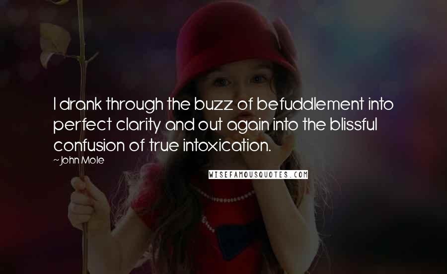 John Mole quotes: I drank through the buzz of befuddlement into perfect clarity and out again into the blissful confusion of true intoxication.