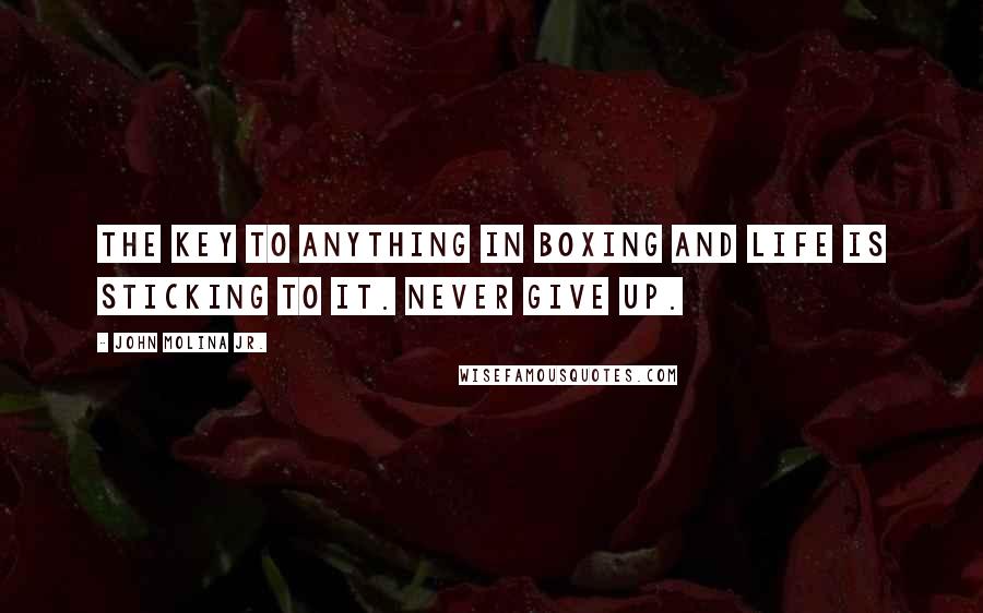 John Molina Jr. quotes: The key to anything in boxing and life is sticking to it. Never give up.
