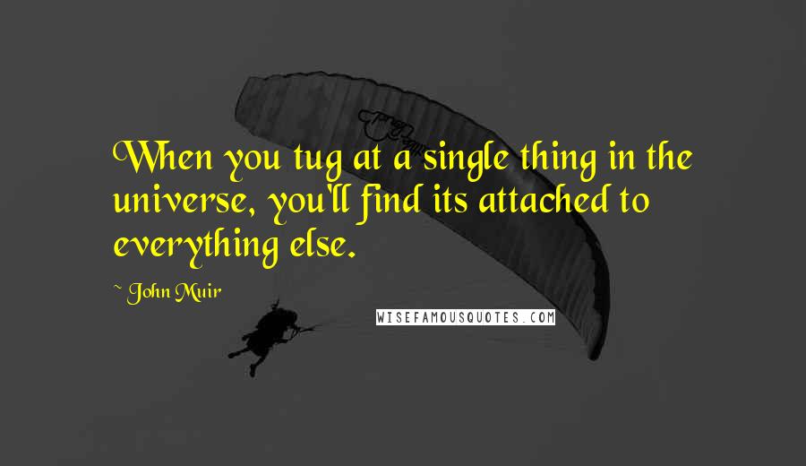John Muir quotes: When you tug at a single thing in the universe, you'll find its attached to everything else.