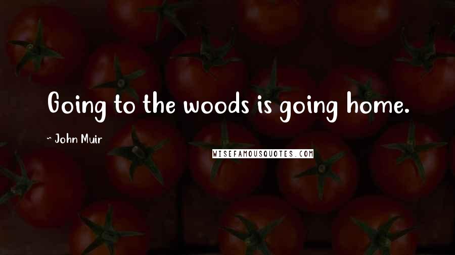 John Muir quotes: Going to the woods is going home.