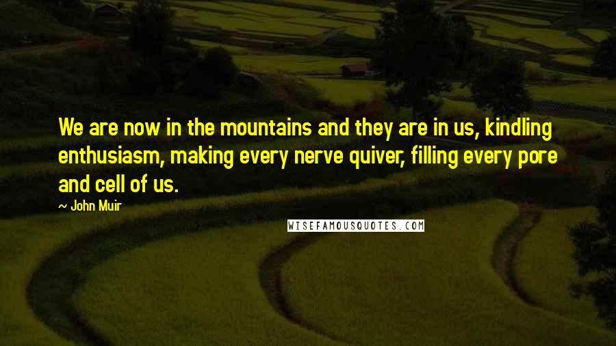 John Muir quotes: We are now in the mountains and they are in us, kindling enthusiasm, making every nerve quiver, filling every pore and cell of us.