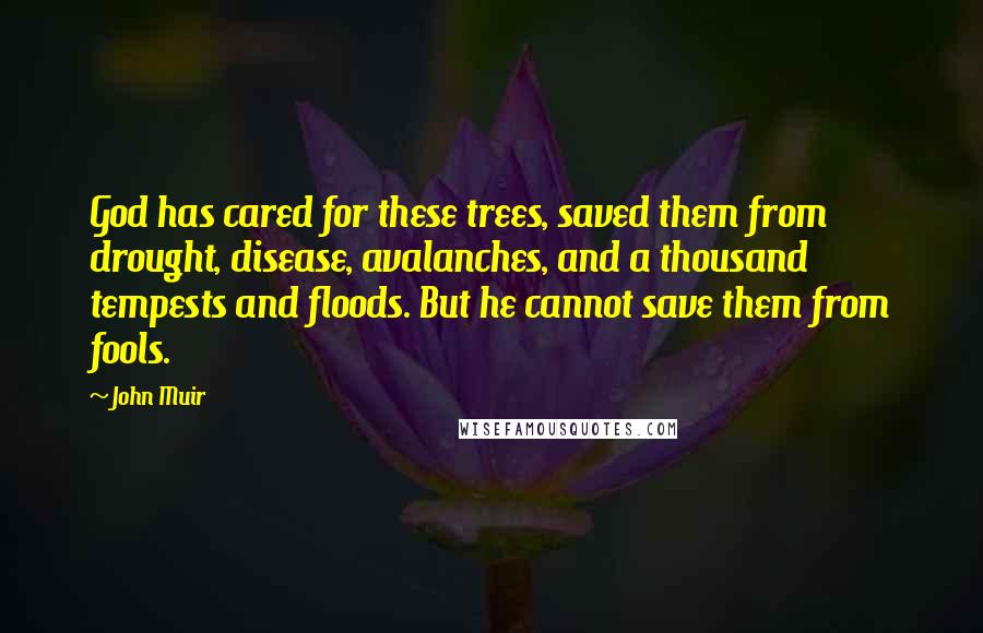 John Muir quotes: God has cared for these trees, saved them from drought, disease, avalanches, and a thousand tempests and floods. But he cannot save them from fools.