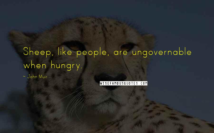 John Muir quotes: Sheep, like people, are ungovernable when hungry.