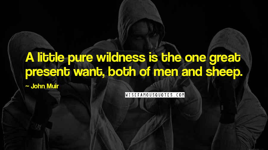 John Muir quotes: A little pure wildness is the one great present want, both of men and sheep.