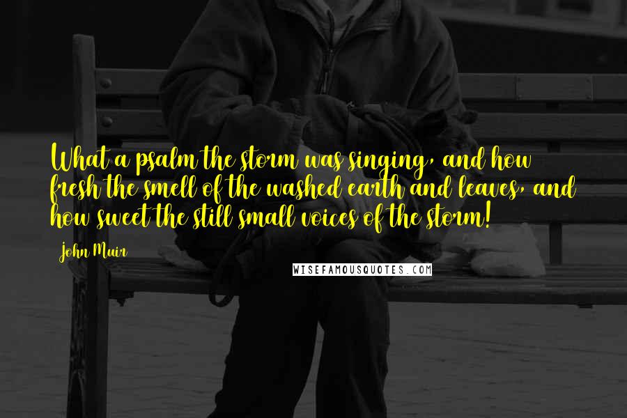 John Muir quotes: What a psalm the storm was singing, and how fresh the smell of the washed earth and leaves, and how sweet the still small voices of the storm!